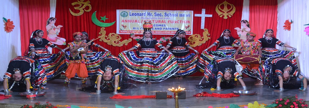 ANNUAL FUNCTION